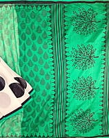 A Green Patli Pallu Saree