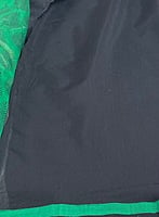 A Green Patli Pallu Saree