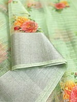 Green Organza Saree